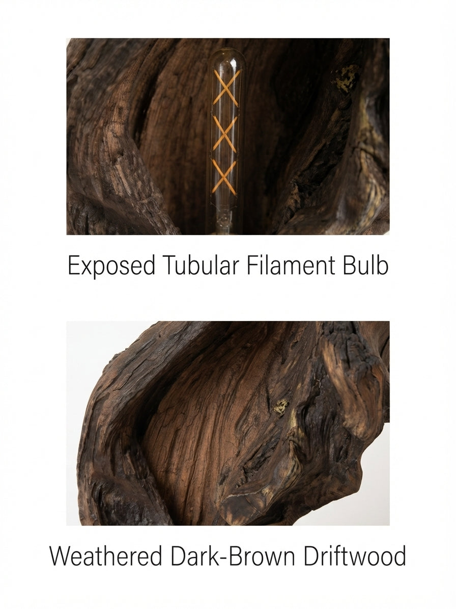 Hollow Trunk Ember Lamp