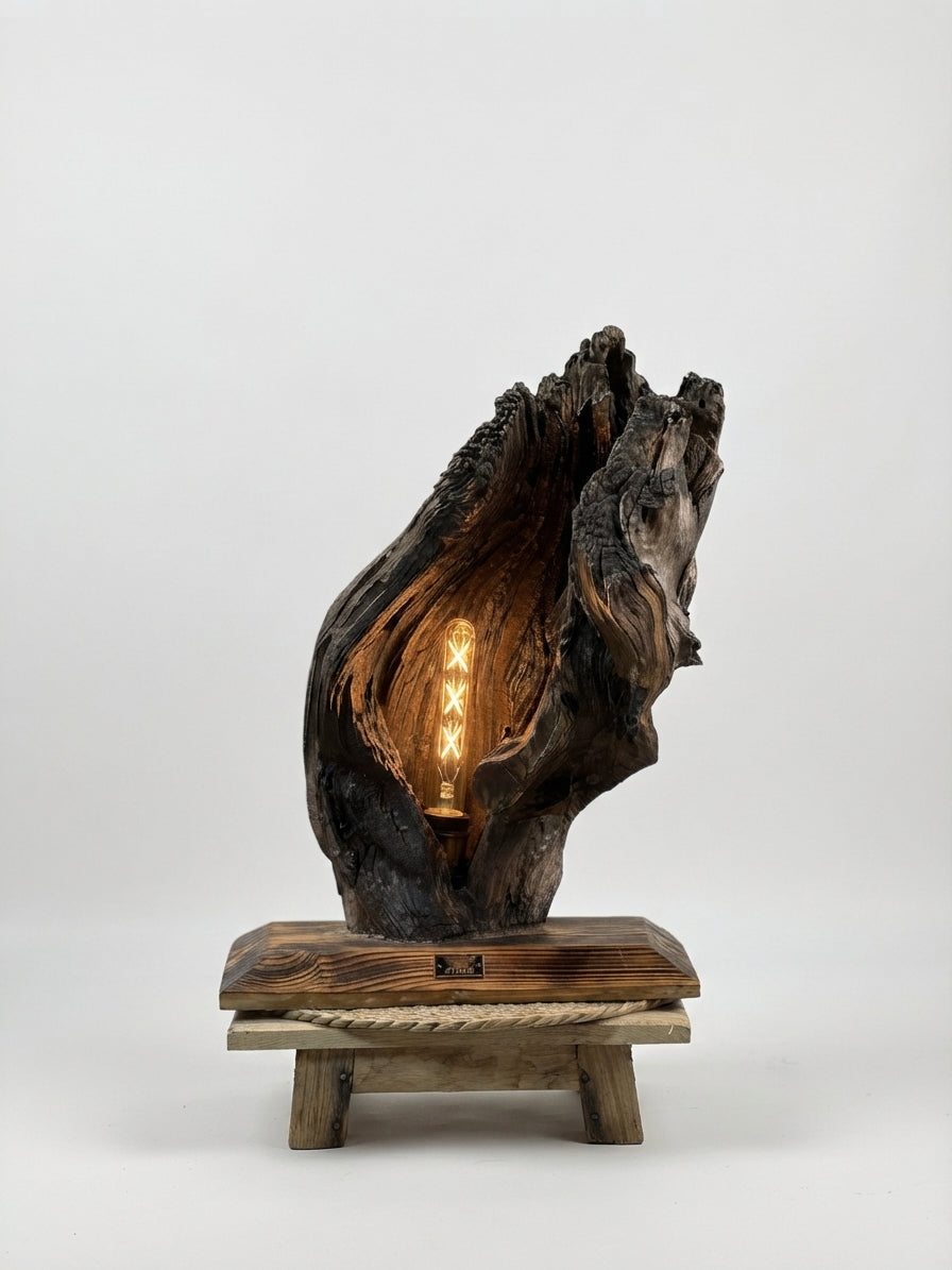 Hollow Trunk Ember Lamp